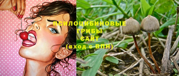 марки lsd Богданович
