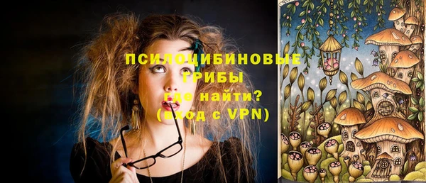 марки lsd Богданович