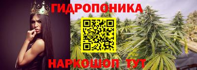 круглые Кингисепп