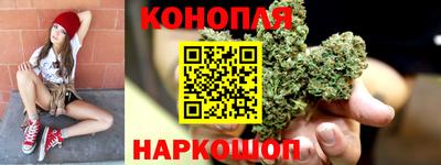 тгк Славгород