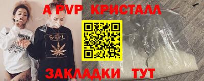 круглые Кингисепп