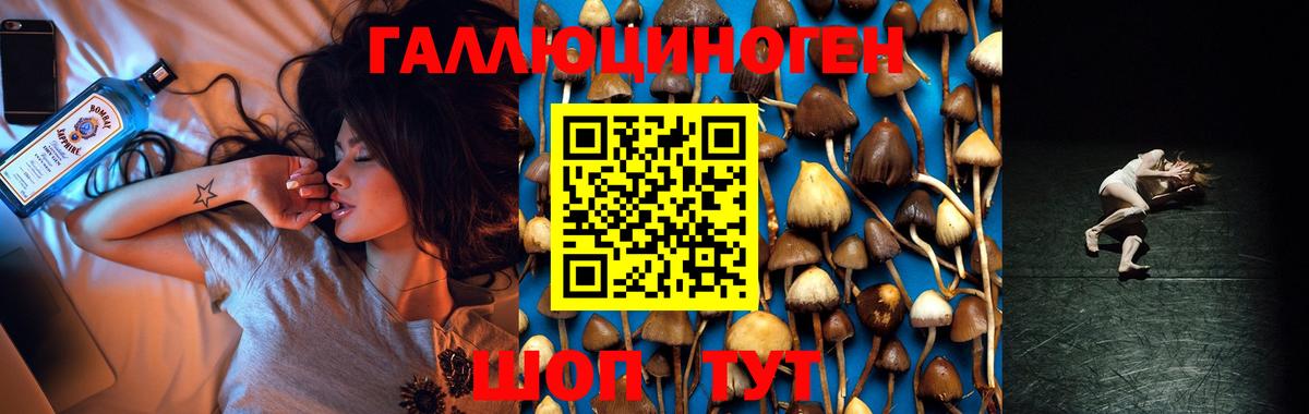 Галлюциногенные грибы MAGIC MUSHROOMS  Вход с VPN  наркота  Псилоцибиновые грибы мицелий  Севастополь 